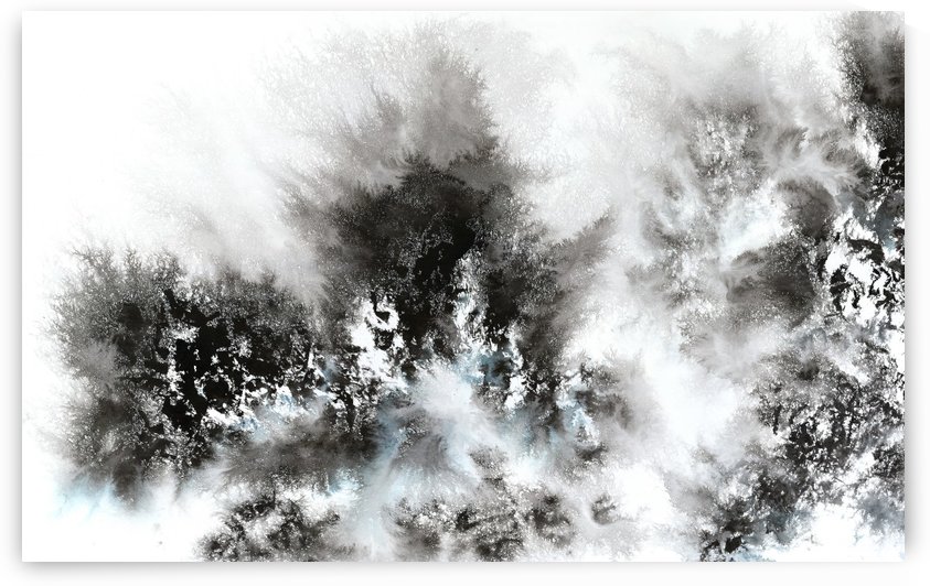 Winter Series by Shulin Sun