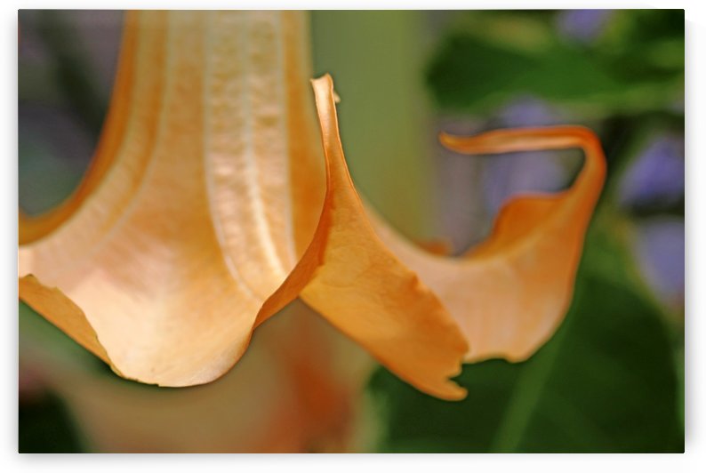 Yellow Swirling Skirt by Deb Oppermann