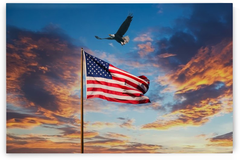 American Flag on Old Flagpole at Sunset with Eagle by Darryl Brooks