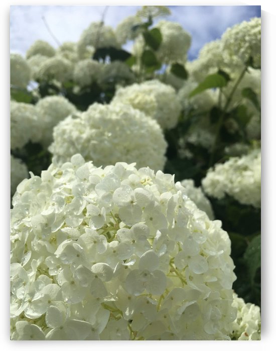 Below the Sky by Amna Hashmi