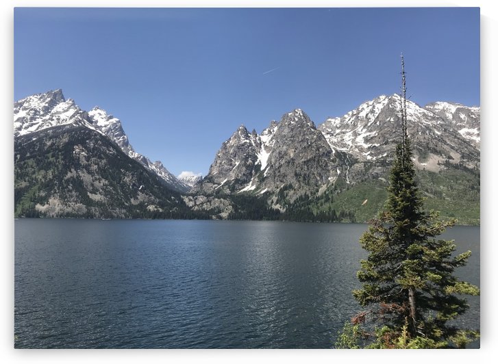 Jenny Lake: Jackson Hole WY by Perspectives Photography by Katie Johnson