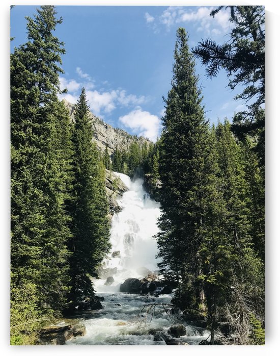 Hidden Falls: Grand Teton National Park by Perspectives Photography by Katie Johnson