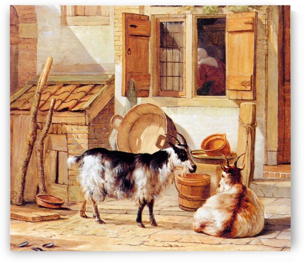Goats in a yard by Abraham van Strij