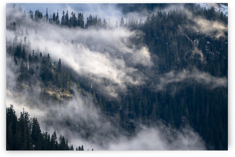 Washington by Noah Lang