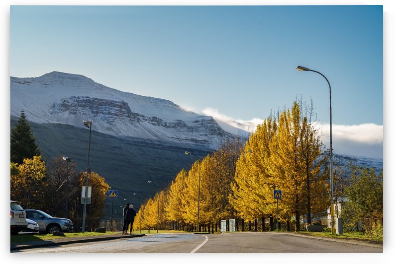 Autumn of Seydisfjordur Iceland by Jason Wen Bin TONG 