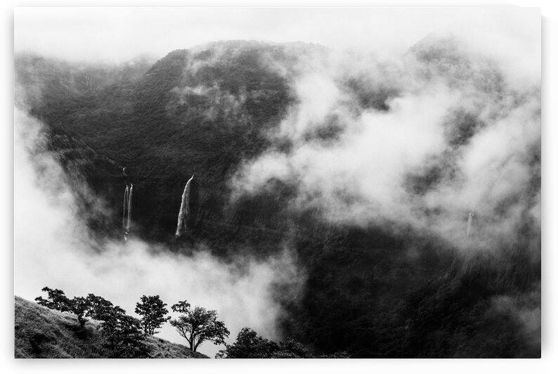 Monsoon Splendour in Western Ghats India by Samyak Kaninde