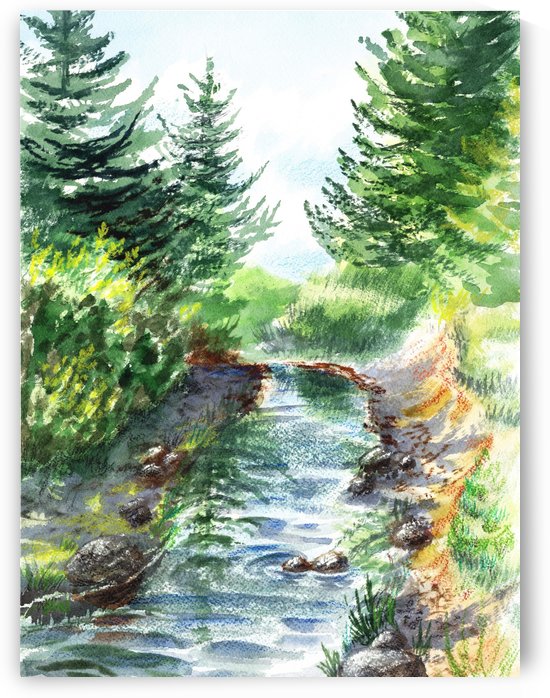 Forest Creek by Irina Sztukowski