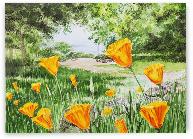California Poppies by Irina Sztukowski