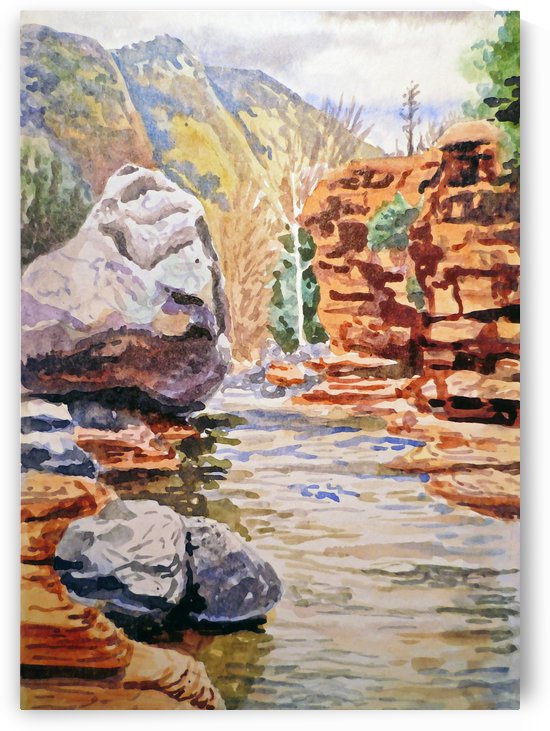 Sedona Arizona Slide Creek by Irina Sztukowski
