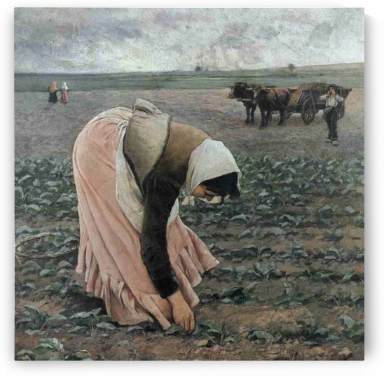 Plecka by Jakub Schikaneder