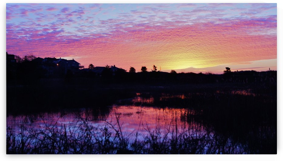 Good Harbor Sunrise by Sue Bonior