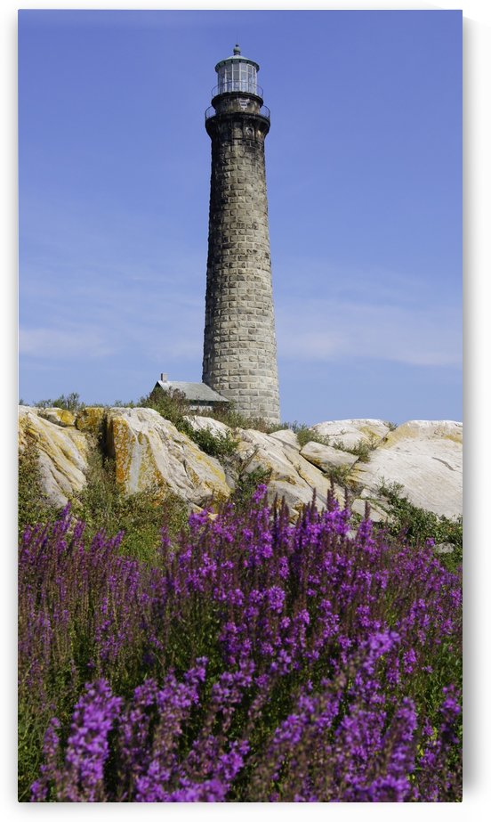 Thatcher Island Light  by Sue Bonior