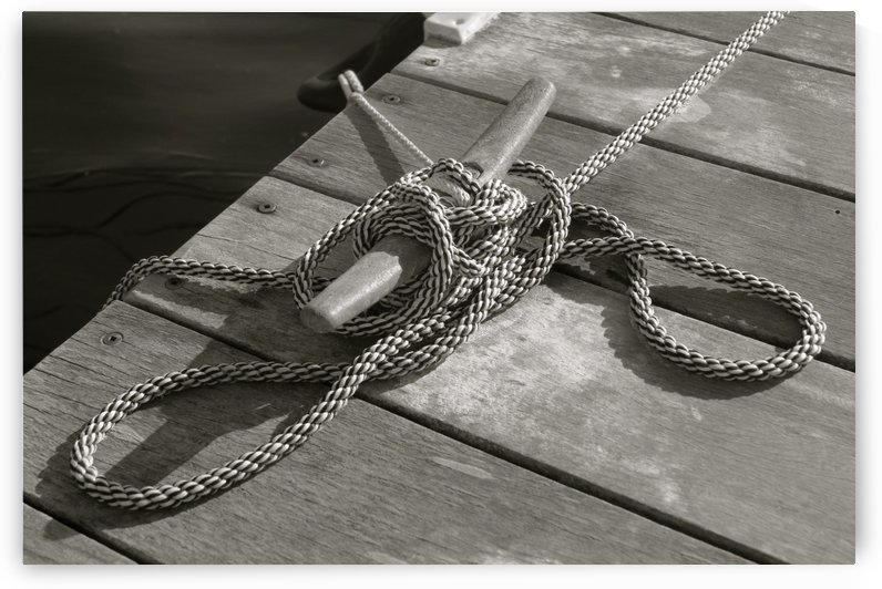 Hold On by Sue Bonior