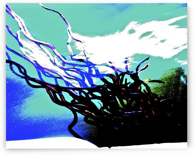 Rockweed II by Sue Bonior