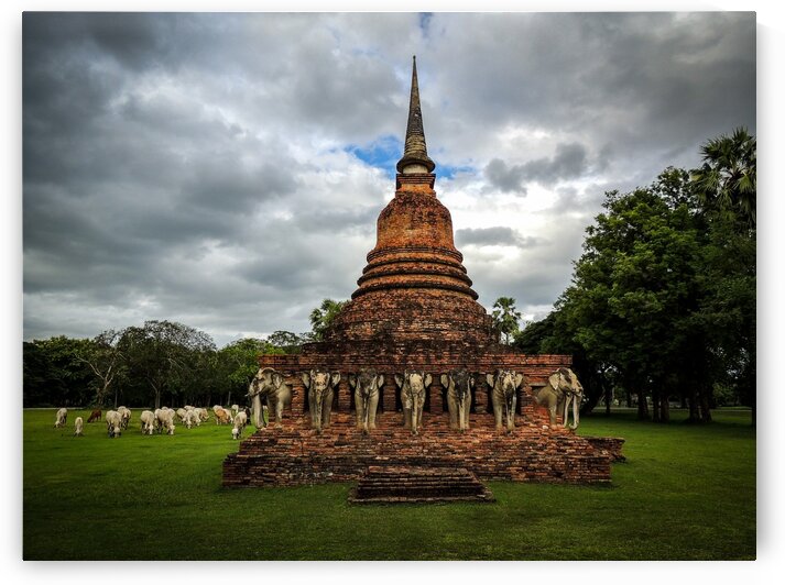 Grazing 2 by Dan Edel