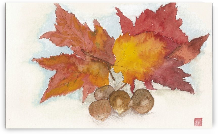 leaves by Peter McGill