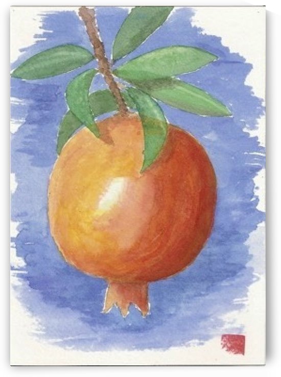 pomegranate by Peter McGill