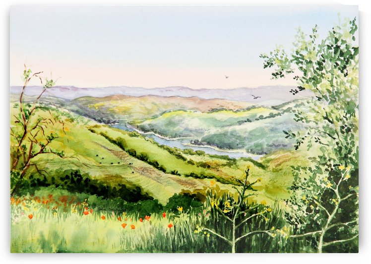 Summer Landscape Inspiration Point Orinda California by Irina Sztukowski