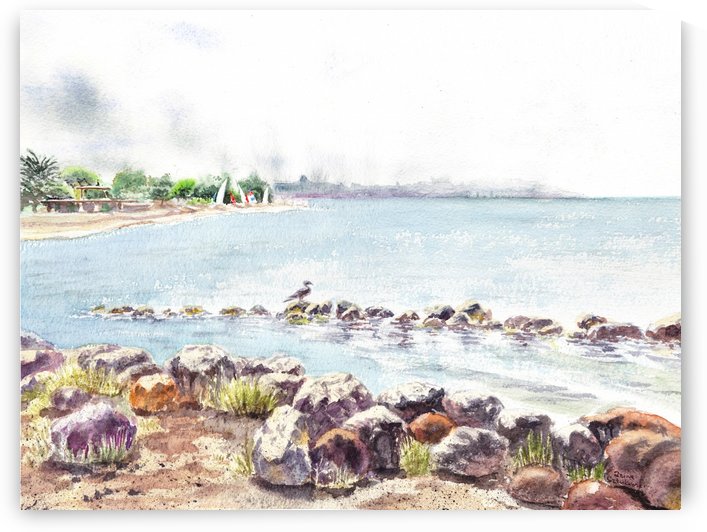 Crab Cove Alameda California by Irina Sztukowski