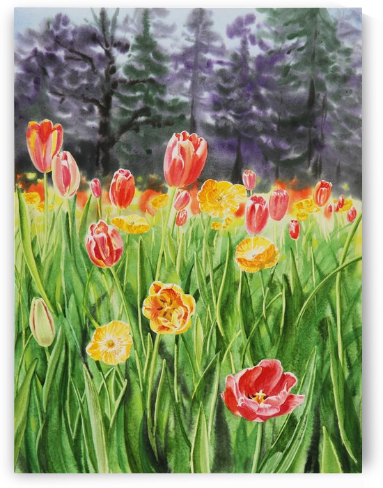 Tulip Garden in San Francisco by Irina Sztukowski
