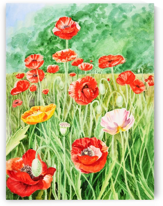 Poppy Field by Irina Sztukowski