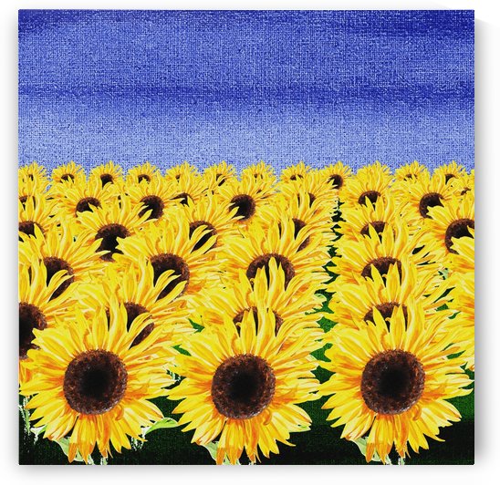 Sunflowers Field by Irina Sztukowski