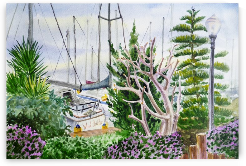 Wind Drifter At The Marina  by Irina Sztukowski