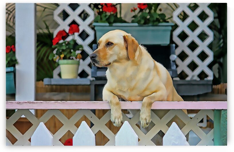 People Watching by HH Photography of Florida