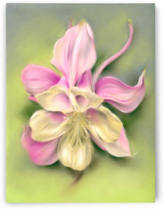 Columbine Blossom Pink and Cream on Green by MM Anderson