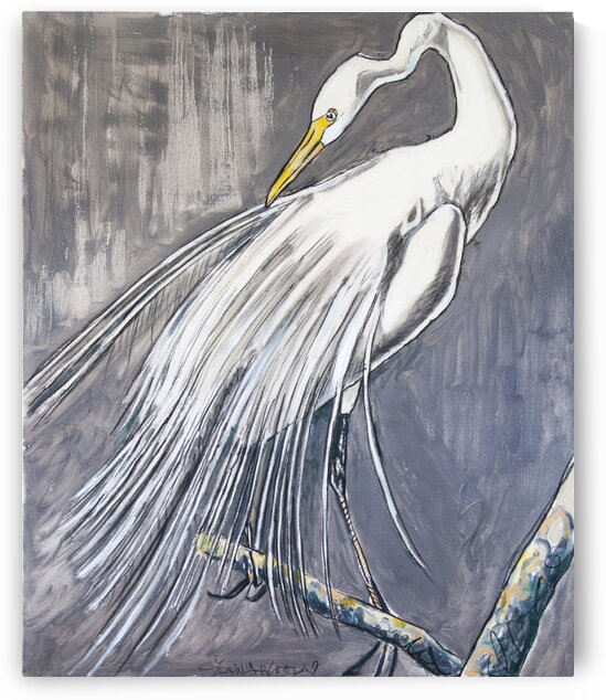 Louisiana Great White Egret Out-on-a-Limb with Metallic Silver by Caroline Youngblood