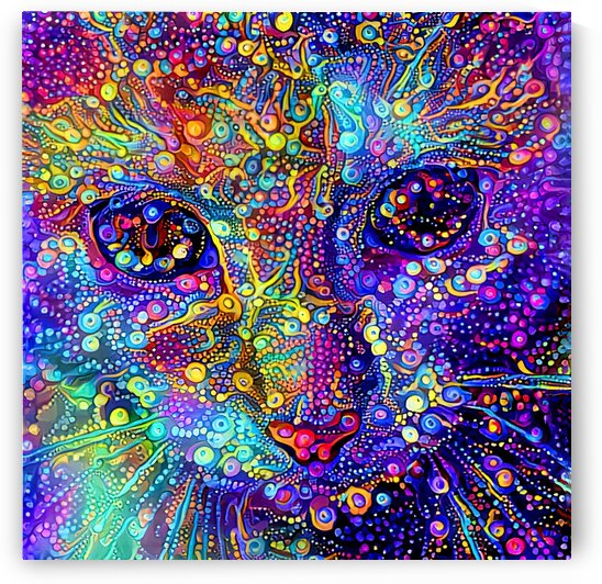 Jazzy The Colorful Tabby by HH Photography of Florida