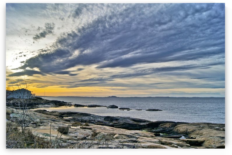 Lanes Cove II by Sue Bonior