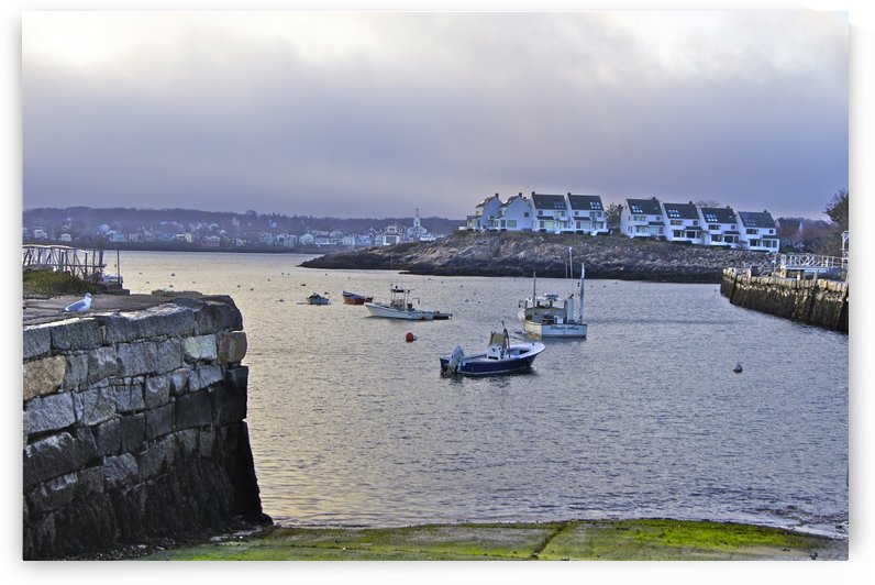 Safe Harbor by Sue Bonior