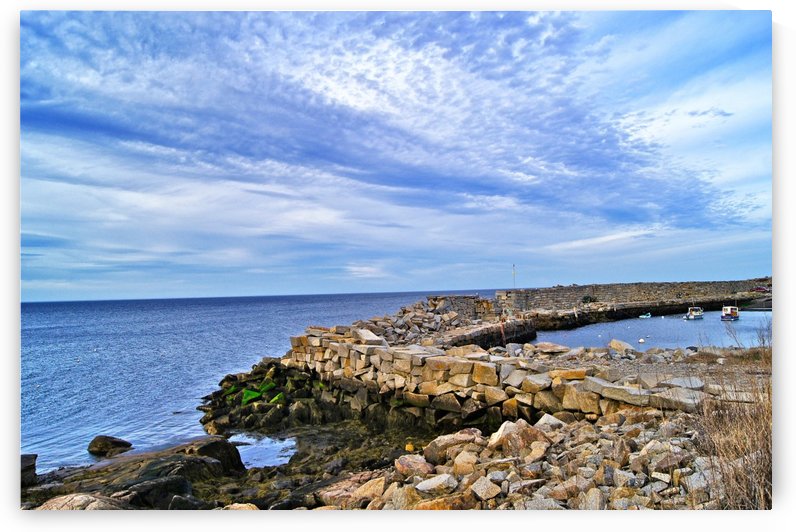 Lane's Cove I by Sue Bonior