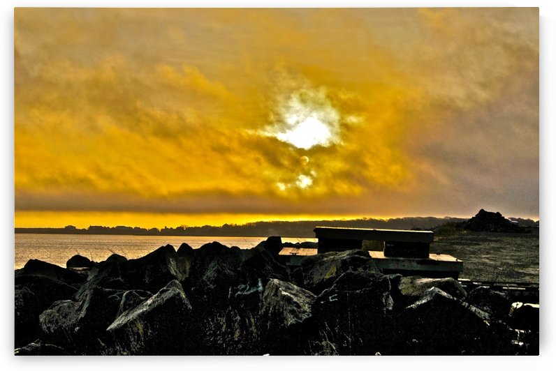 Sunrise 112715-3 by Sue Bonior