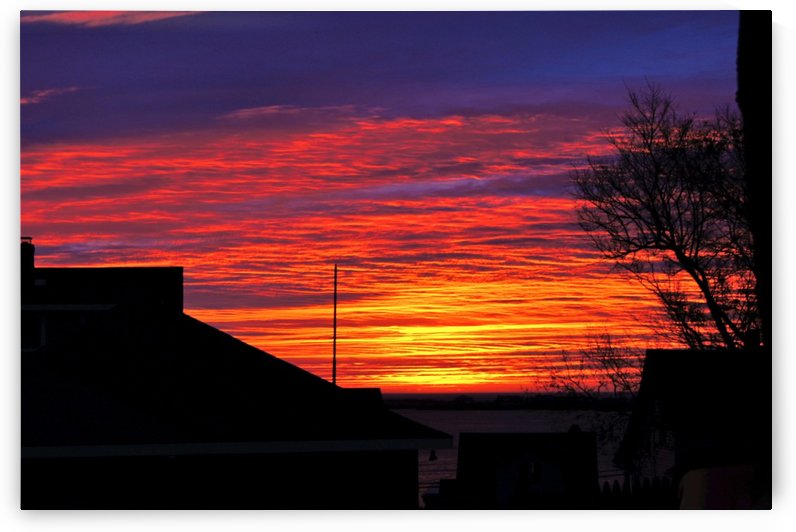 Red Sky at Morn by Sue Bonior