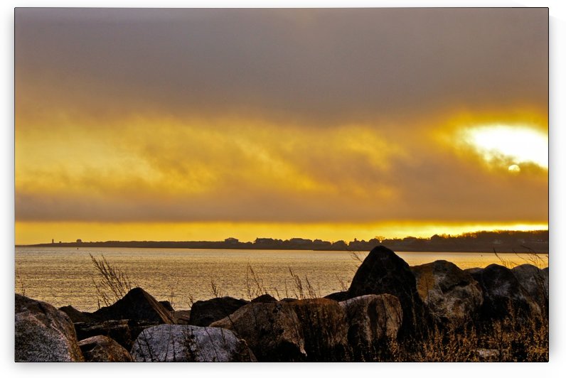 Sunrise 112715-2 by Sue Bonior