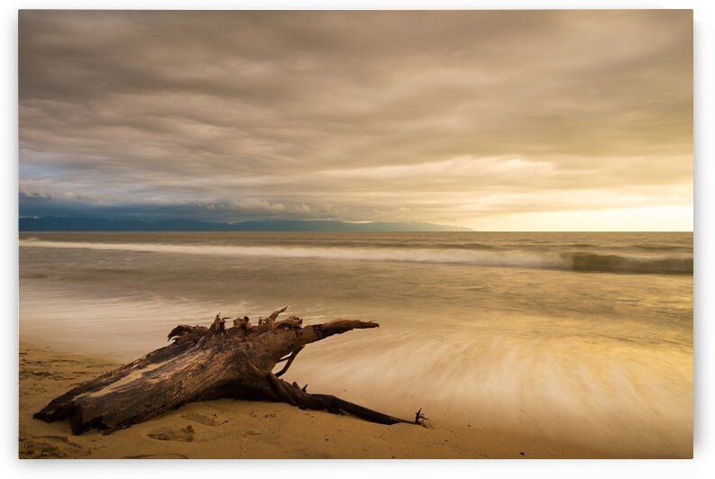 Limitless by Andres Blasquez Mota Velasco