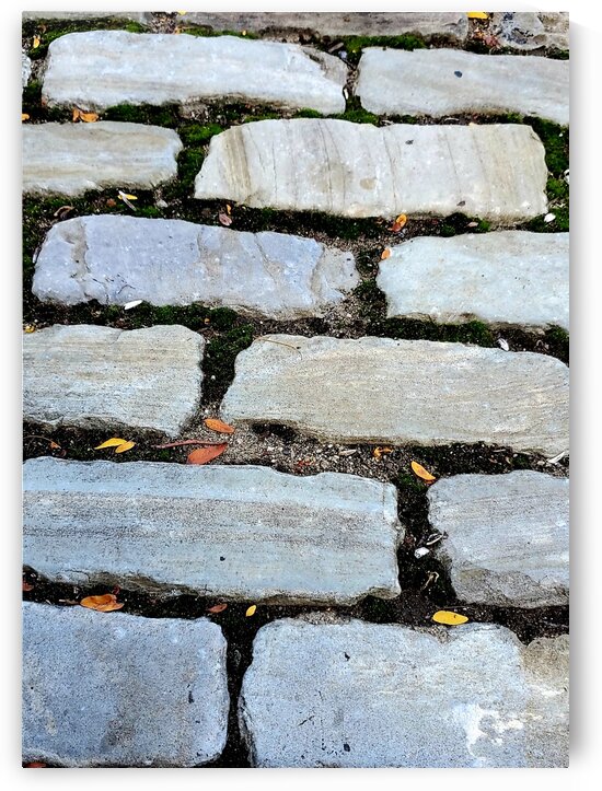 The Cobblestone Way by The NC Geek