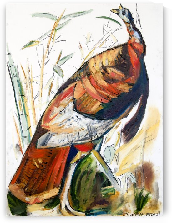 Louisiana Wild Turkey Study by Caroline Youngblood