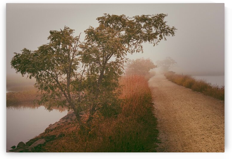 Eastern Trail - Scarborough Maine by Dave Therrien