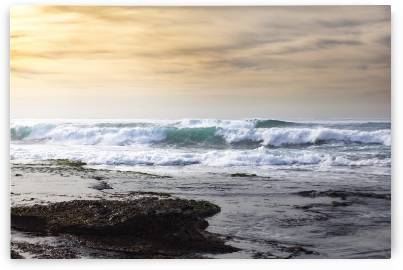 Winter in San Diego by Trevor Gerzen