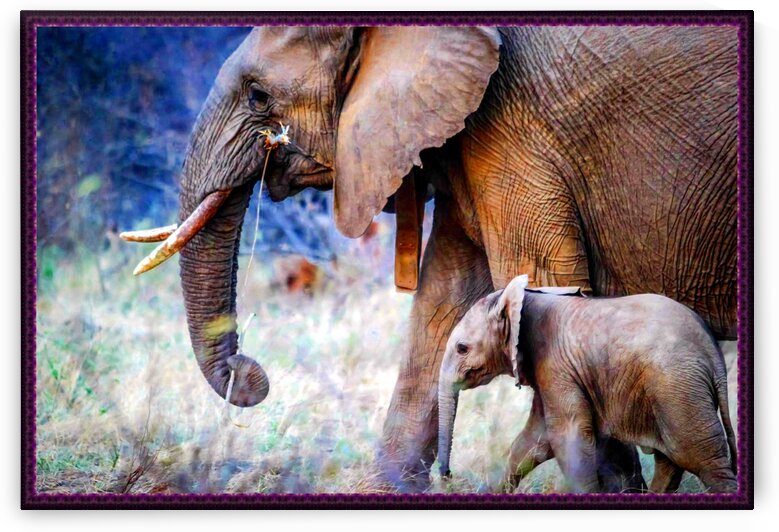 elephants mother and baby by Nature Art