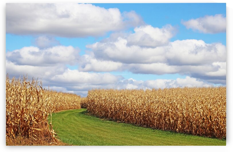 The Path Between by Deb Oppermann