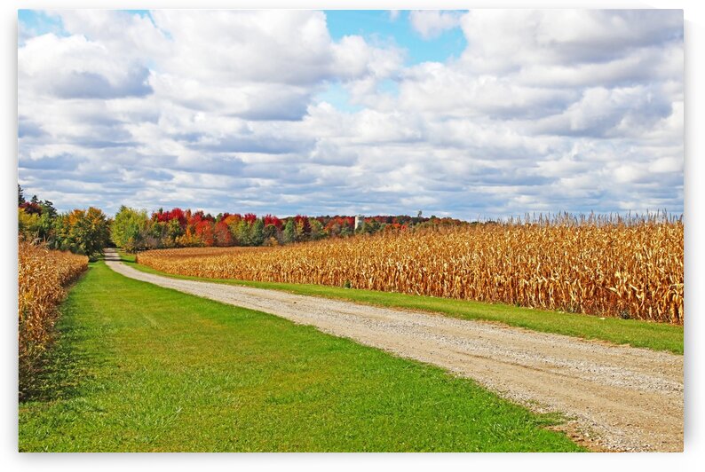 The Fall Farm by Deb Oppermann