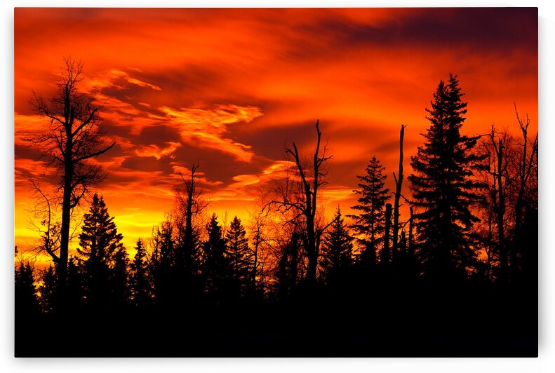 Sunrise by Kristian Gunderson