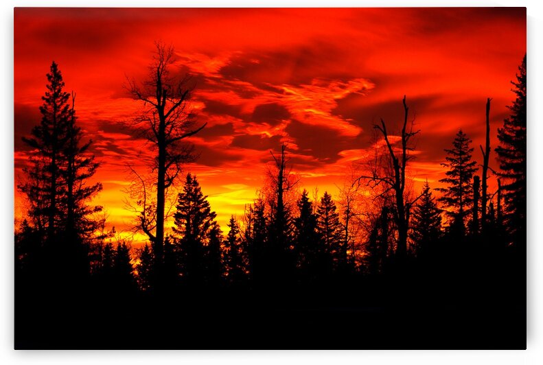 Sunrise by Kristian Gunderson