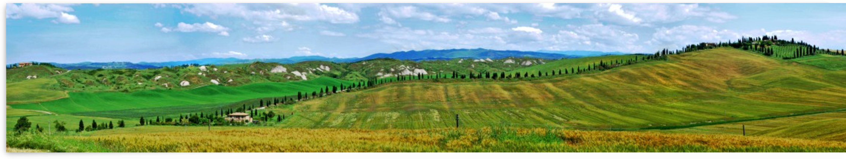 toscana by Henri Hadida