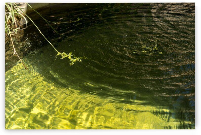 Jewel Toned Fountain - From Rich Peridot to Deep Emerald with a Green Plant Accent by GeorgiaM