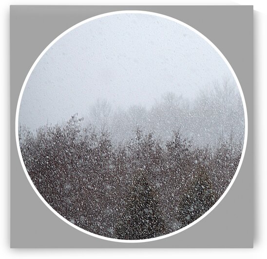Snowing  Moment I by Joan Han